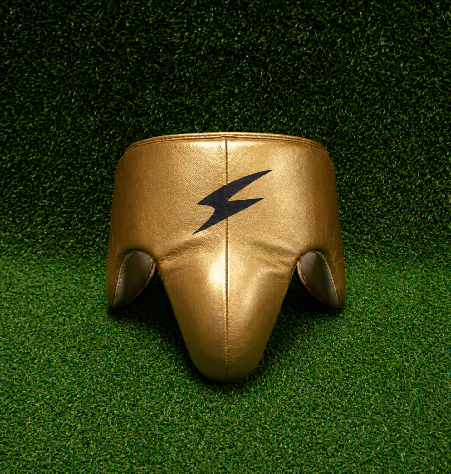 Gancho Elite Groin Protector – GOLD
